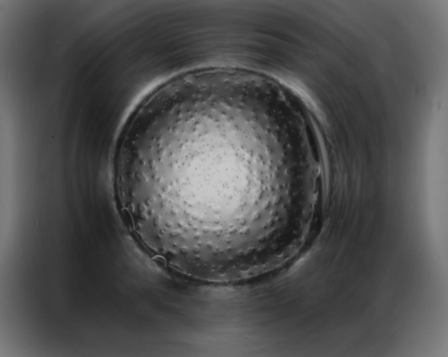 X0000086920896200704161400