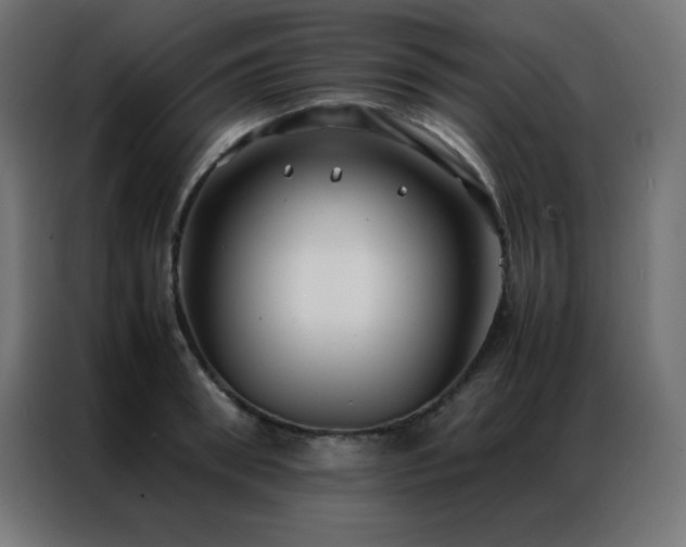 X0000086920898200704161400