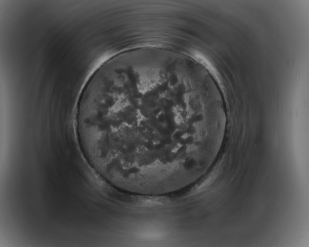 X0000086920899200704161400