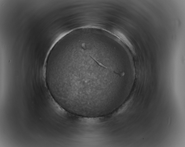 X0000086920900200704161400