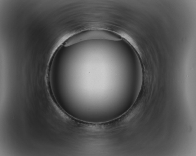 X0000086920901200704161400