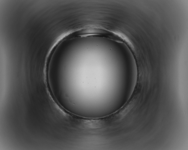 X0000086920902200704161400