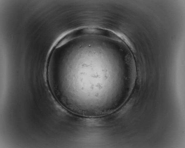 X0000086920904200704161400