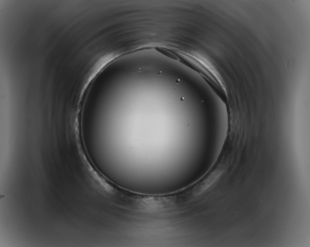 X0000086920906200704161400