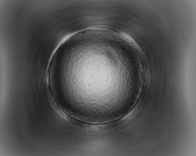 X0000086920908200704161400