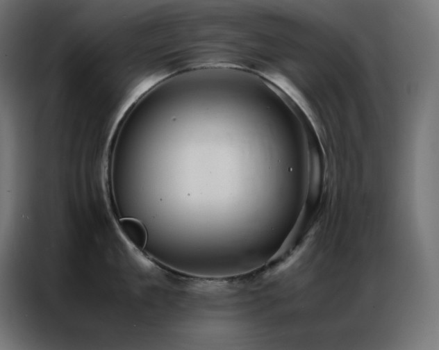 X0000086920909200704161400