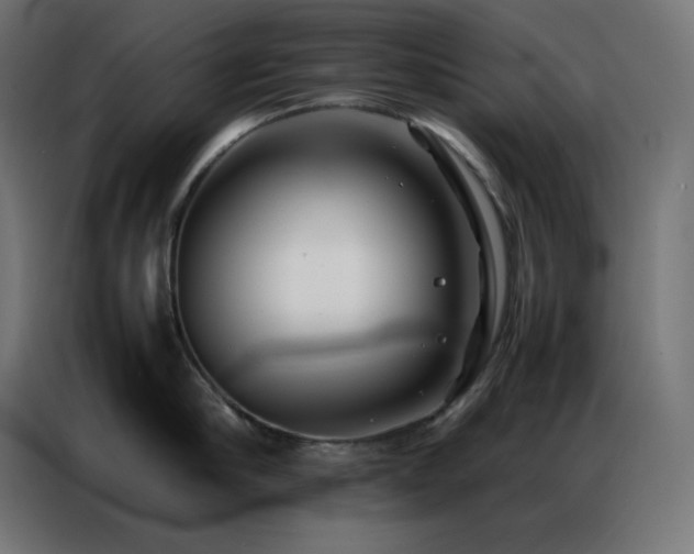 X0000086920910200704161400