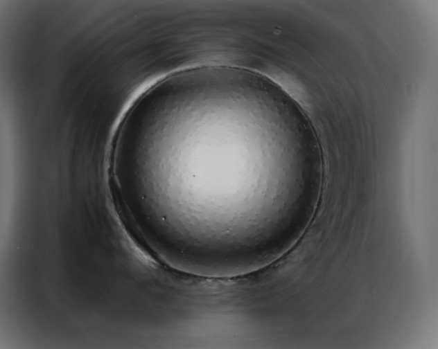 X0000086920912200704161400