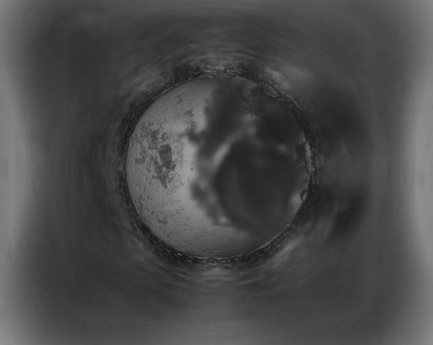 X0000086920913200704161359