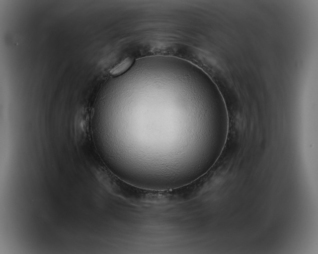 X0000086920914200704161359