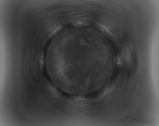 X0000086920915200704161359