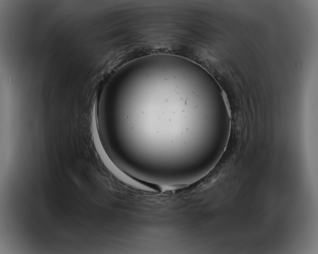 X0000086920916200704161359