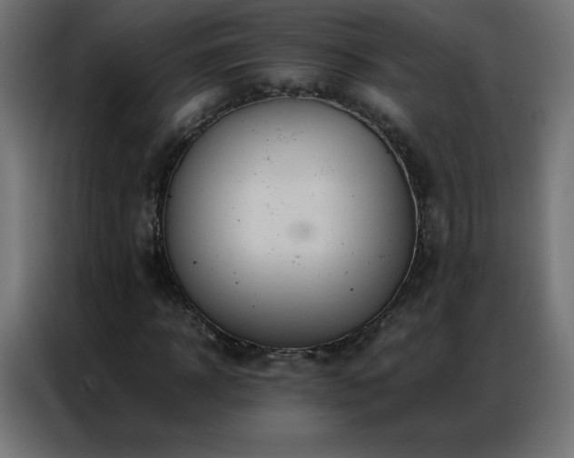 X0000086920918200704161359