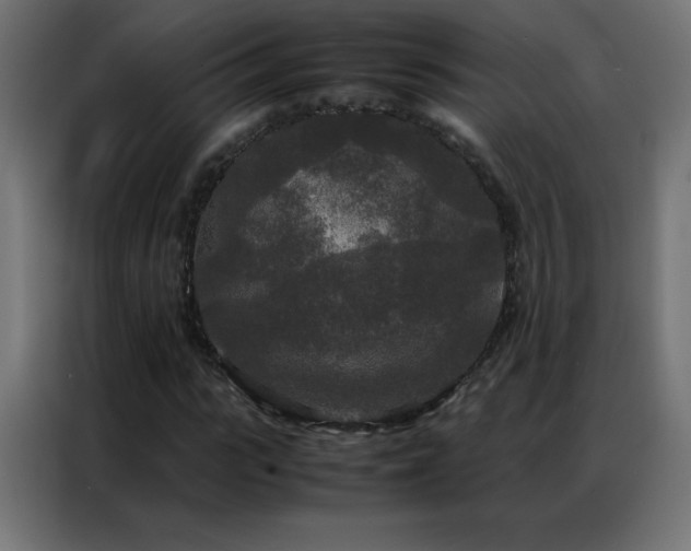 X0000086920919200704161359