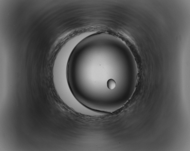 X0000086920920200704161359
