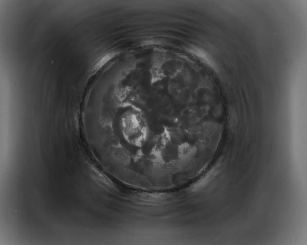 X0000086920921200704161359