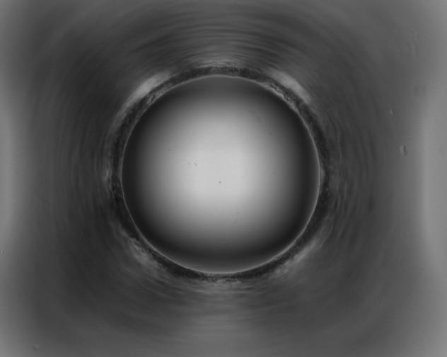 X0000086920922200704161359