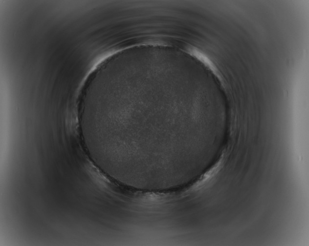 X0000086920923200704161359