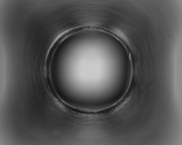 X0000086920924200704161359