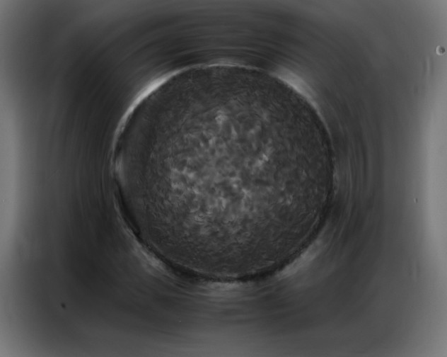 X0000086920925200704161359