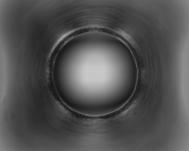 X0000086920926200704161359