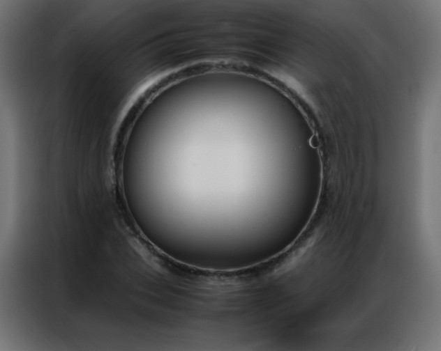 X0000086920927200704161359