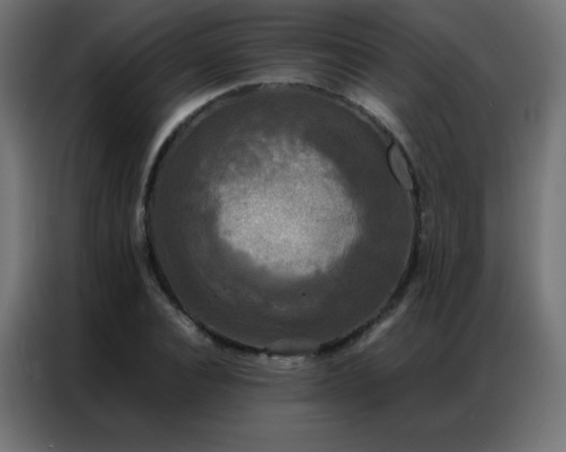 X0000086920928200704161359