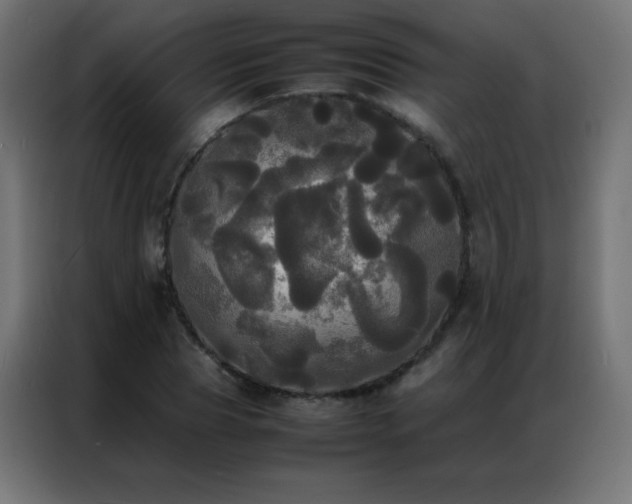 X0000086920929200704161359