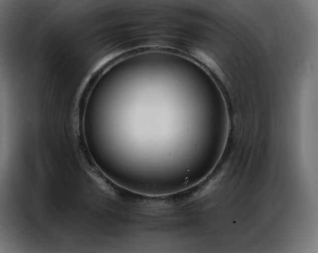 X0000086920931200704161359