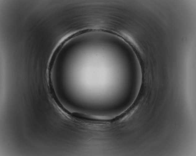 X0000086920932200704161359