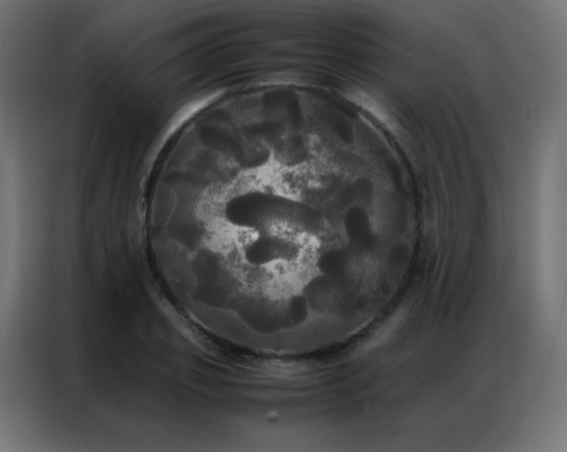 X0000086920933200704161359