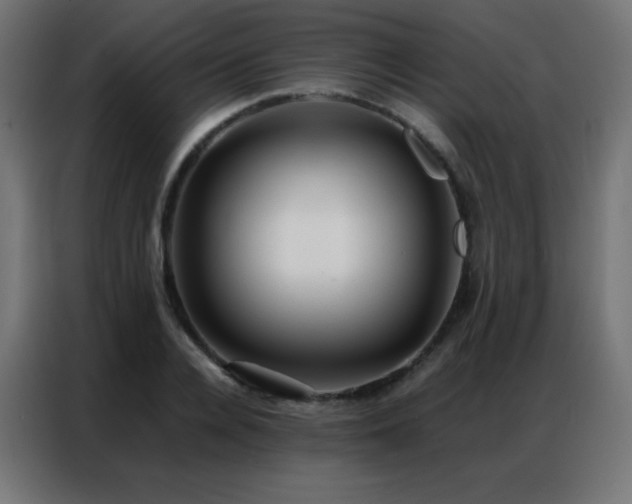 X0000086920936200704161359