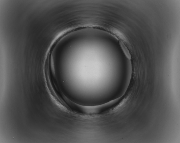 X0000086920942200704161400
