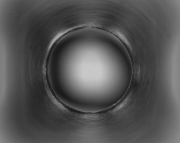 X0000086920944200704161400