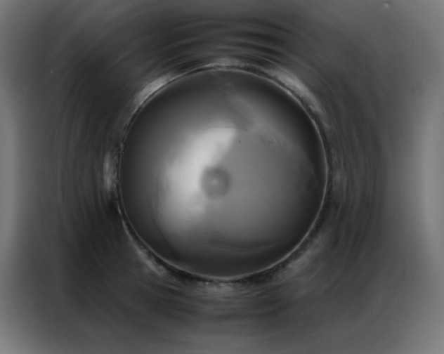 X0000086920945200704161400