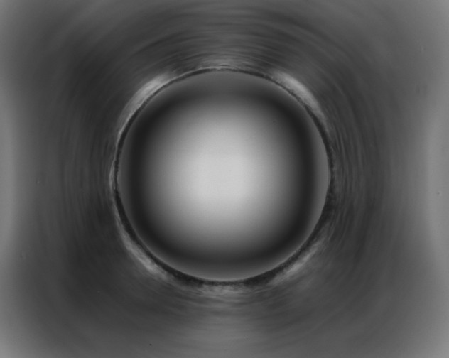 X0000086920946200704161400