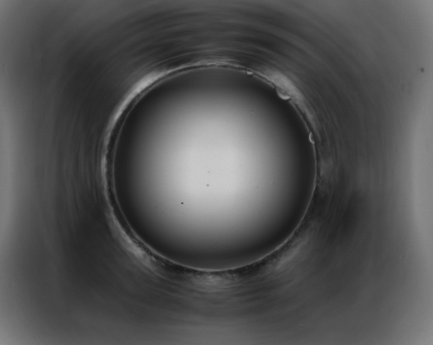 X0000086920947200704161400