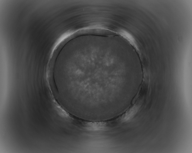 X0000086920952200704161400
