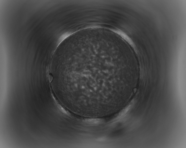 X0000086920953200704161400