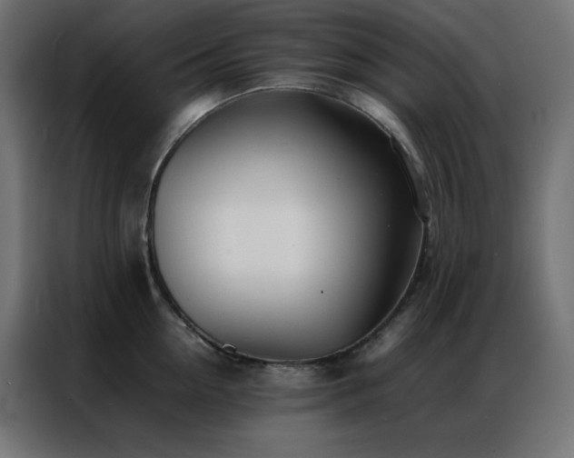 X0000086920954200704161400