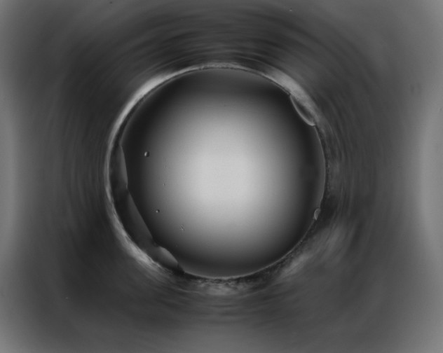 X0000086920955200704161400