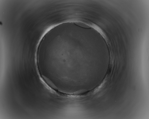 X0000086920958200704161400