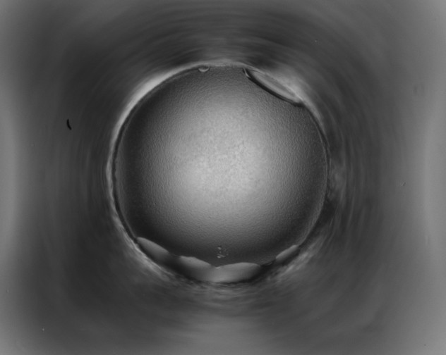X0000086920959200704161400