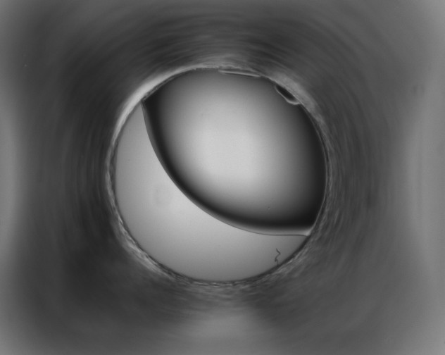 X0000086920960200704161400
