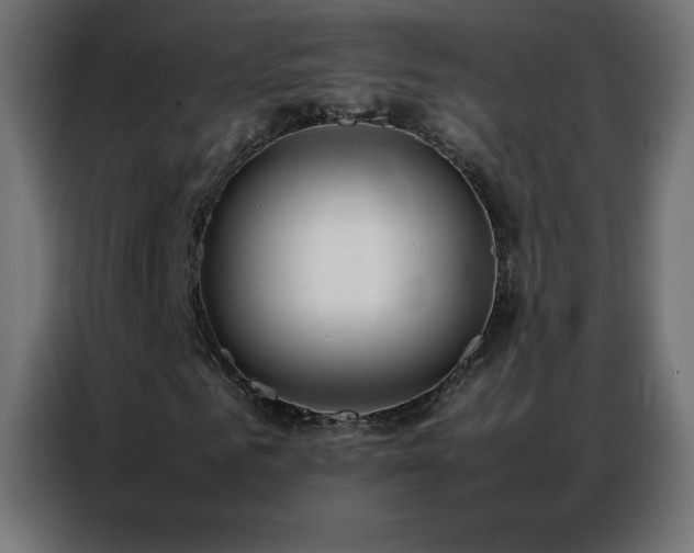 X0000086920961200704161359