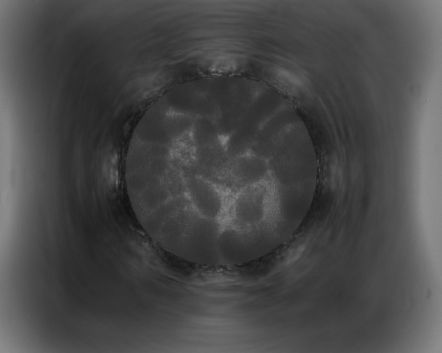 X0000086920962200704161359
