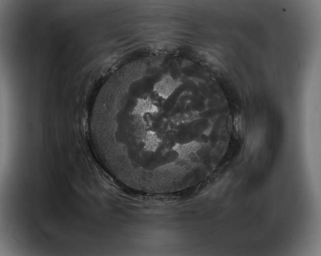 X0000086920963200704161359