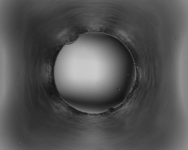 X0000086920964200704161359
