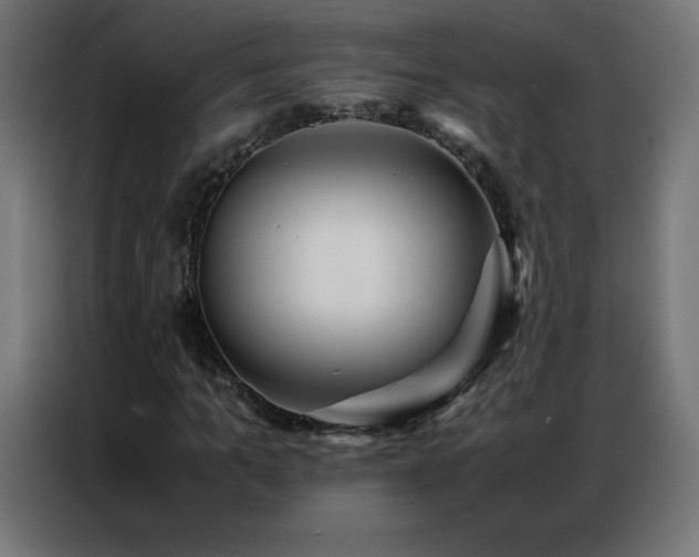 X0000086920965200704161359