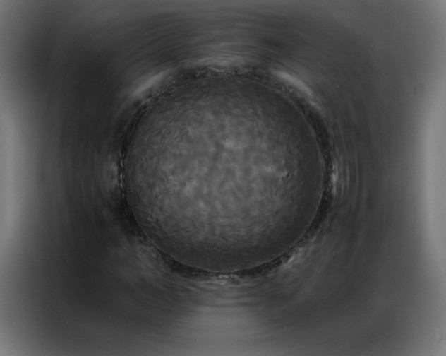 X0000086920966200704161359